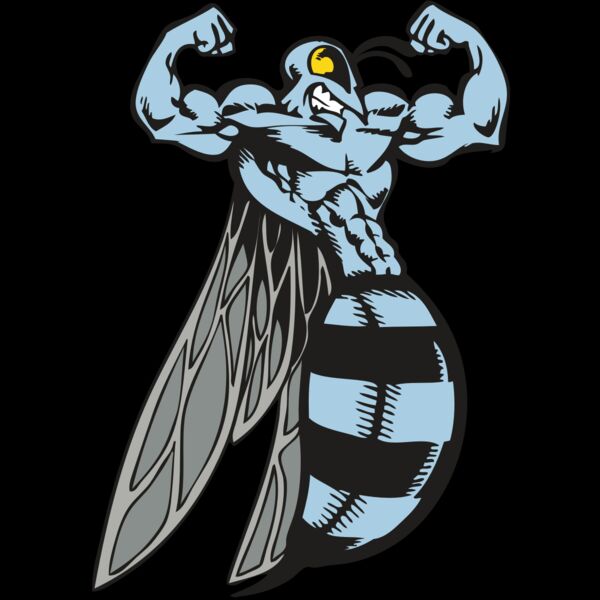 BAW BEE 08 RC Thumbnail