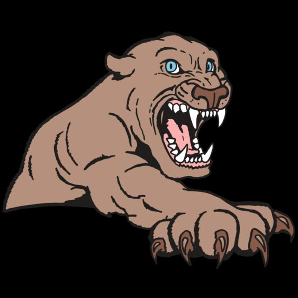 AR5 COUGAR 20 RQC Thumbnail