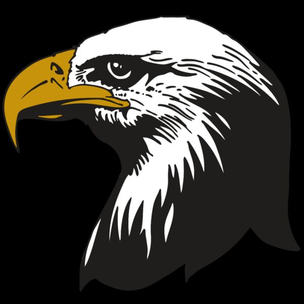 AR EAGLE 87 RC Thumbnail