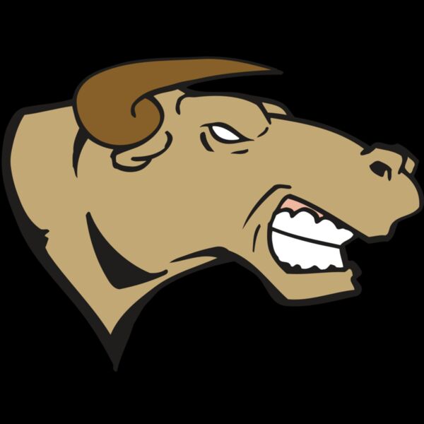 AR BULL 30 RC Thumbnail