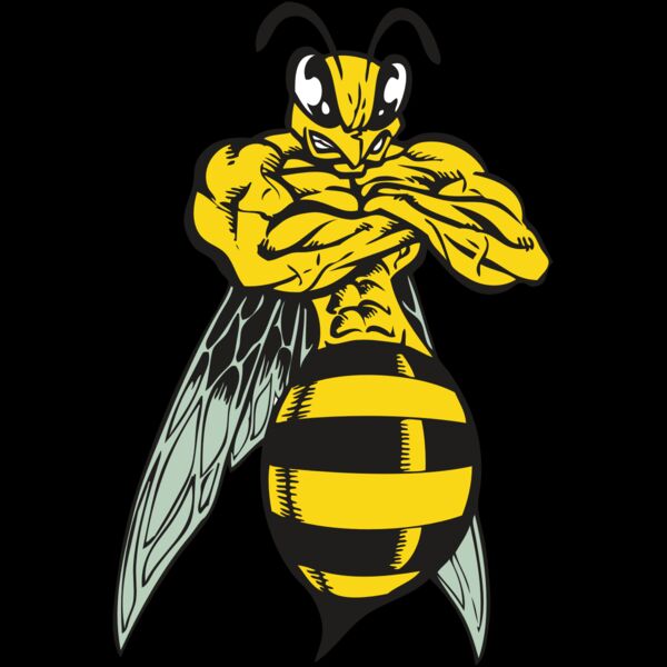 BAW BEE 16 RC Thumbnail