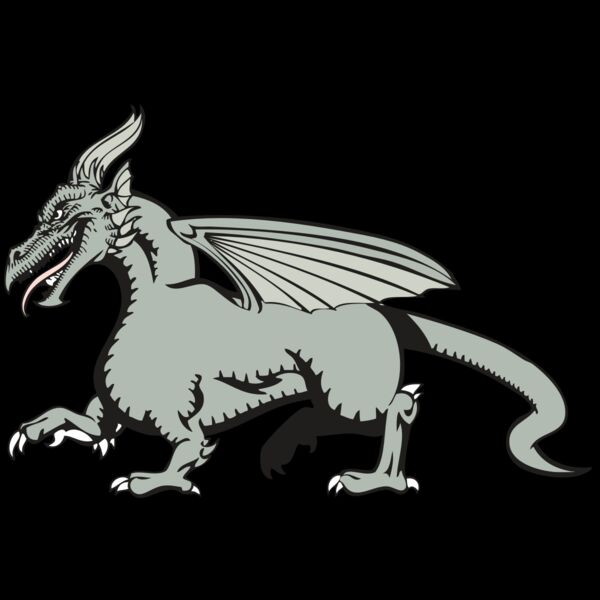 BAW DRAGON 20 RC Thumbnail