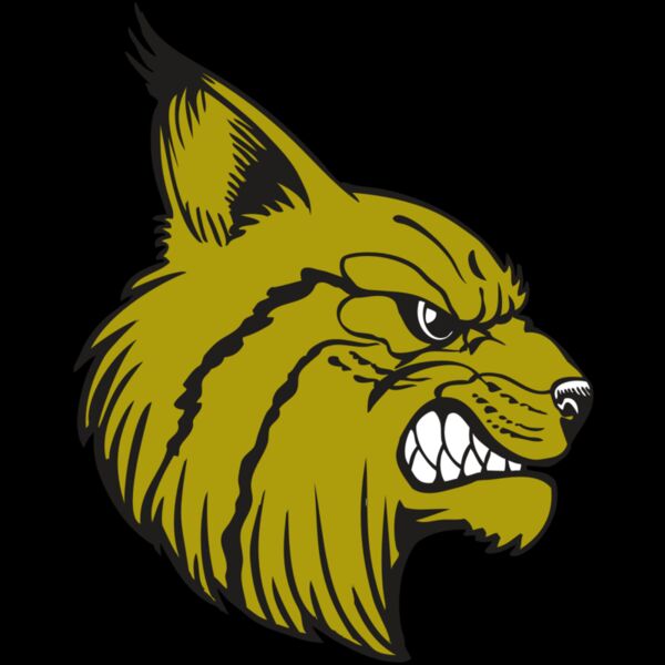 BAW BOBCAT 16 RC Thumbnail