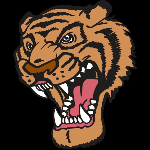 AR TIGER 12 RC Thumbnail