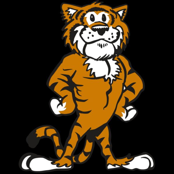 AR TIGER 91 RC Thumbnail