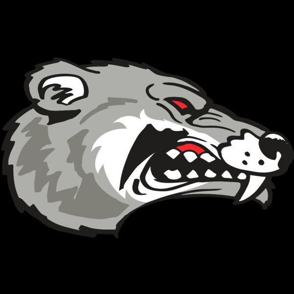 AR WOLVERINE 13 RC Thumbnail