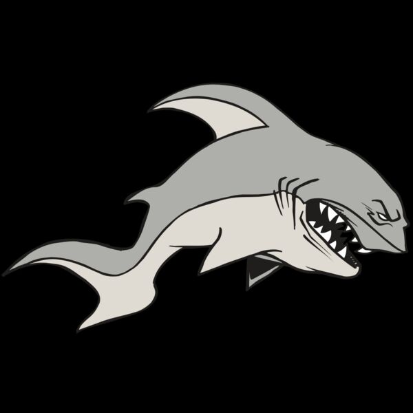 AR5 Shark 10 RQC Thumbnail