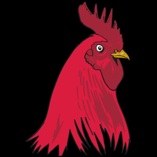 AR OTHER 19 RC Thumbnail