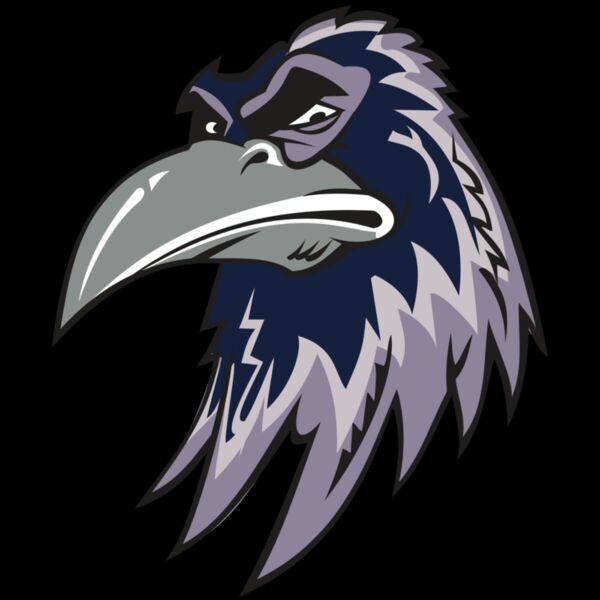 RAVEN HD0501 RQC Thumbnail