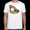 Mens Softstyle Tee Shirt Thumbnail