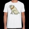 Mens Softstyle Tee Shirt Thumbnail