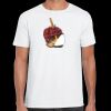 Mens Softstyle Tee Shirt Thumbnail